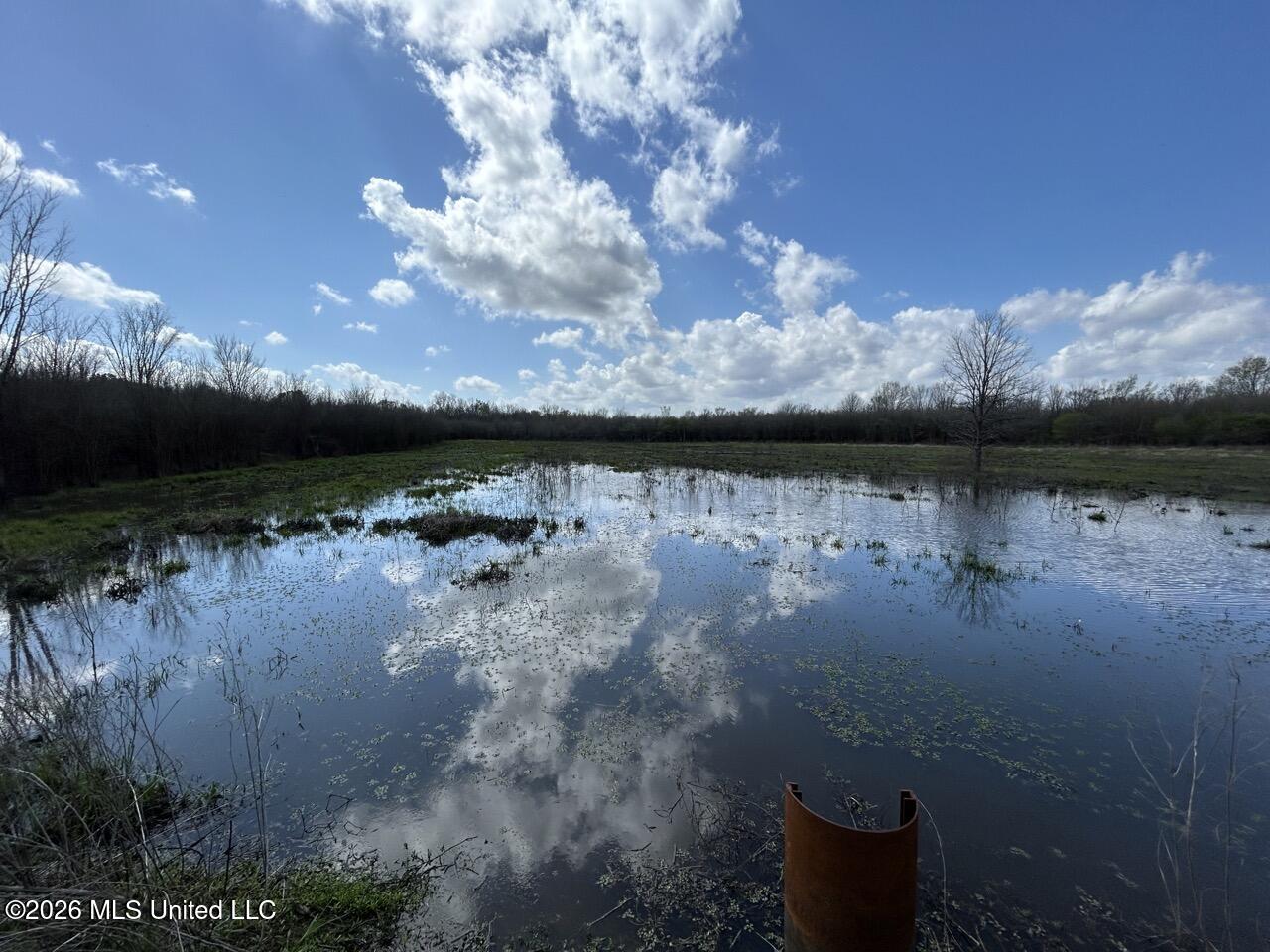 954 Jones Landing Road Wisner, LA 71378 - Photo 33 of 49 IMG_3326 Large