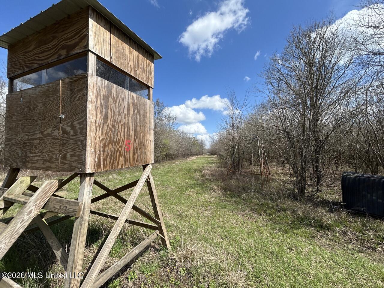 954 Jones Landing Road Wisner, LA 71378 - Photo 34 of 49 IMG_3329 Large