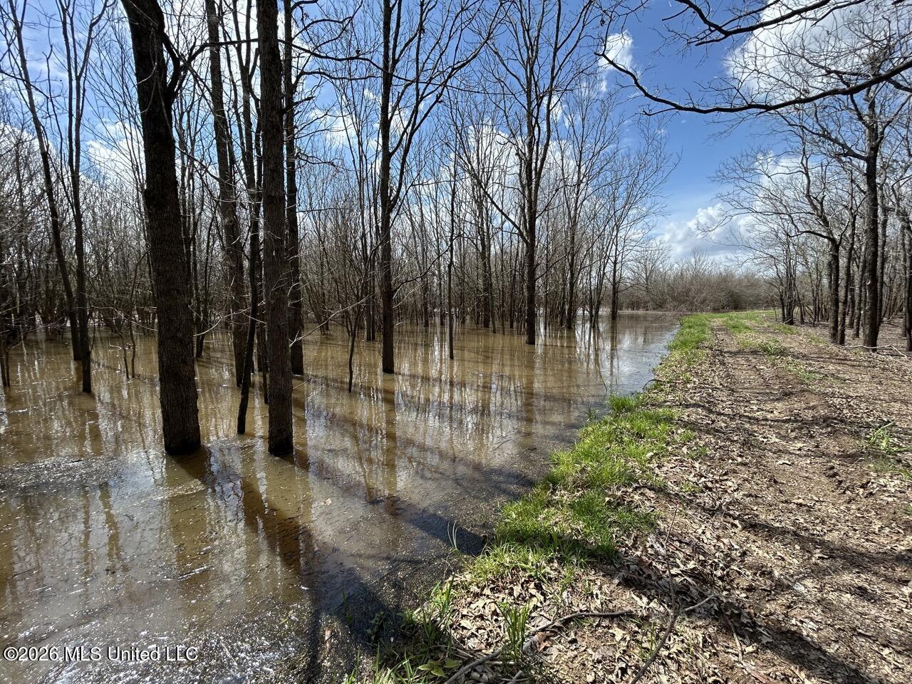 954 Jones Landing Road Wisner, LA 71378 - Photo 35 of 49 IMG_3331 Large