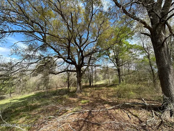 $2,590,000 | 954 Jones Landing Road, Wisner, LA 71378