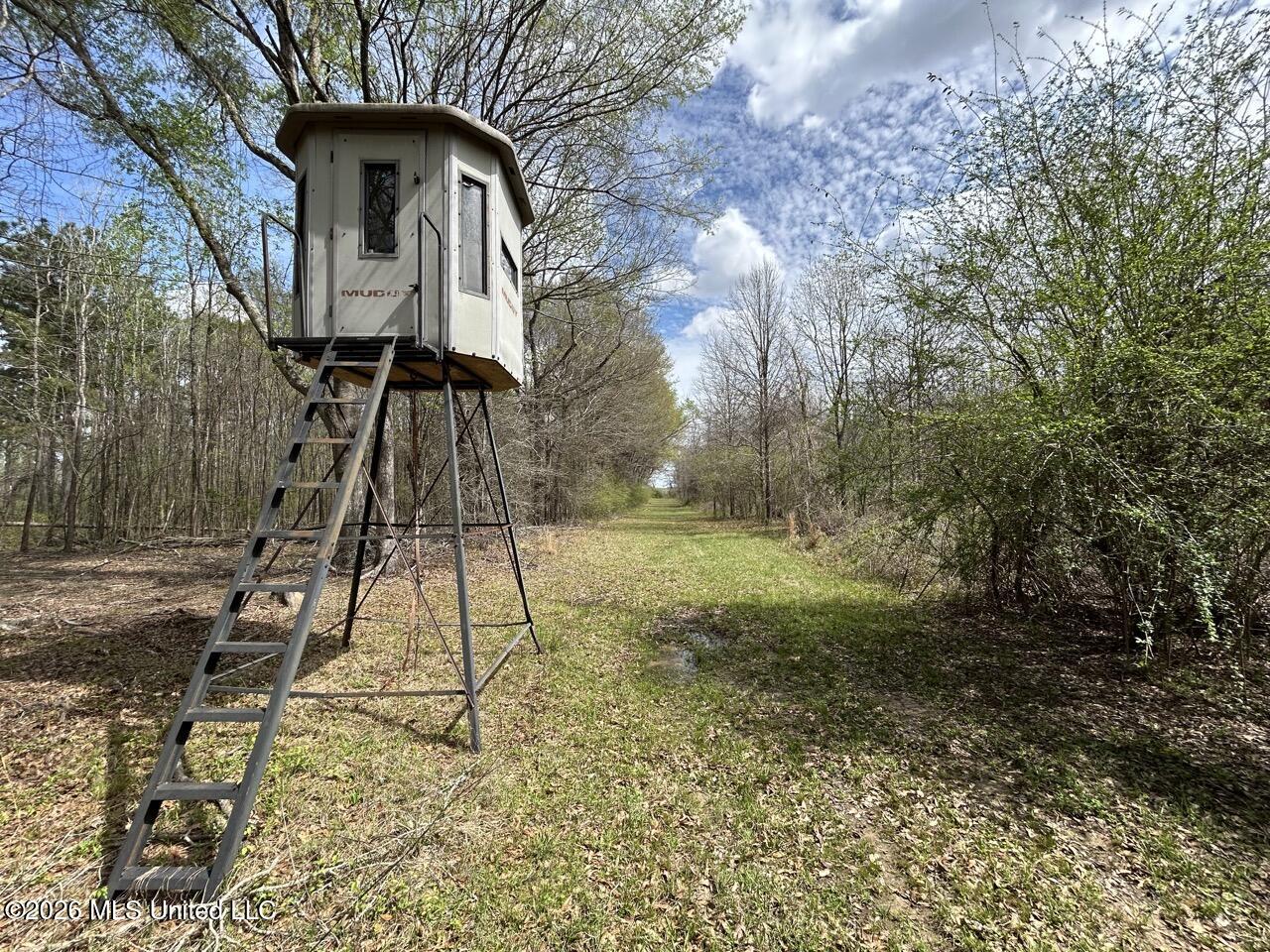 954 Jones Landing Road Wisner, LA 71378 - Photo 37 of 49 IMG_3341 Large