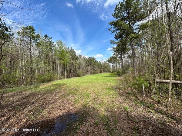 $2,590,000 | 954 Jones Landing Road, Wisner, LA 71378