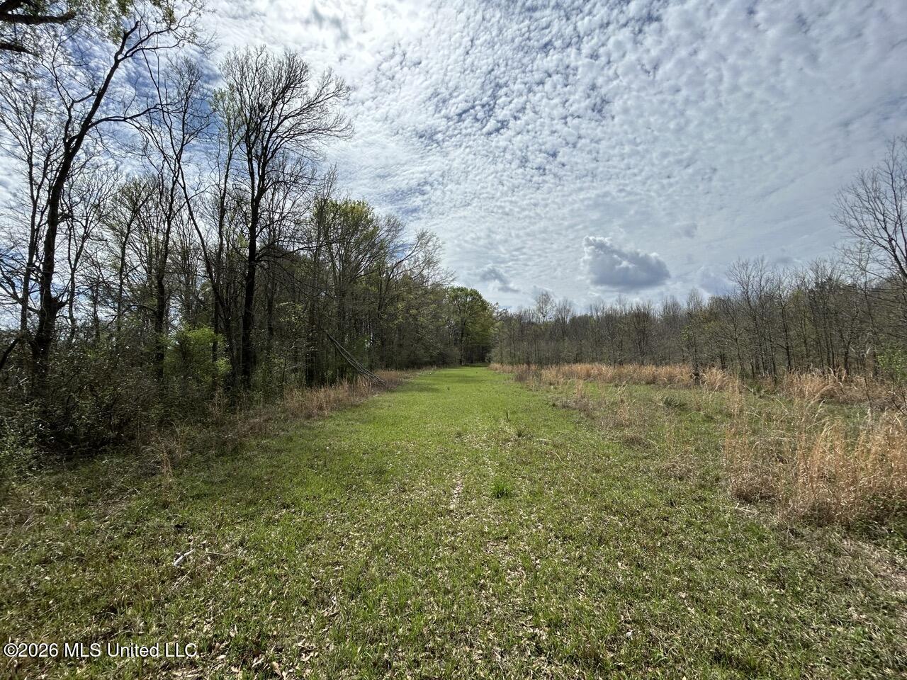954 Jones Landing Road Wisner, LA 71378 - Photo 39 of 49 IMG_3343 Large