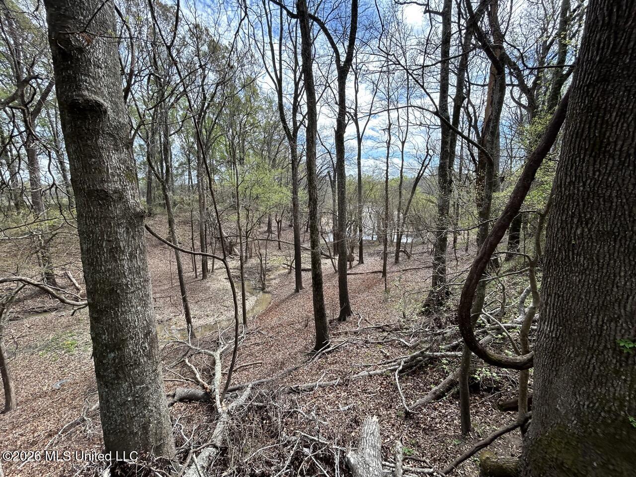 954 Jones Landing Road Wisner, LA 71378 - Photo 40 of 49 IMG_3345 Large