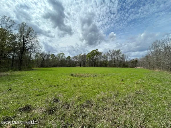 $2,590,000 | 954 Jones Landing Road, Wisner, LA 71378