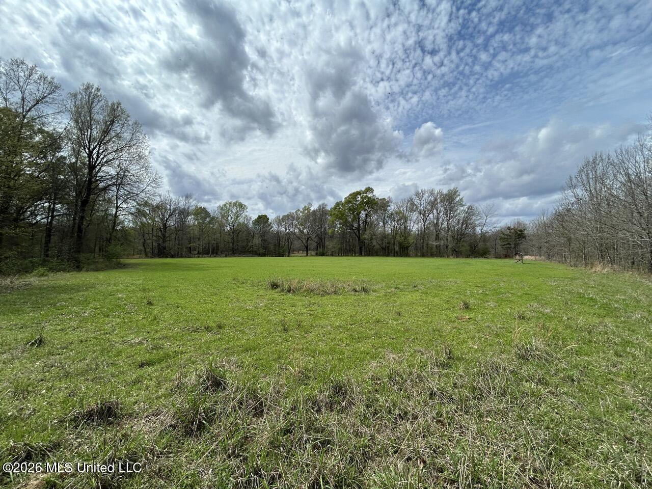 954 Jones Landing Road Wisner, LA 71378 - Photo 41 of 49 IMG_3348 Large