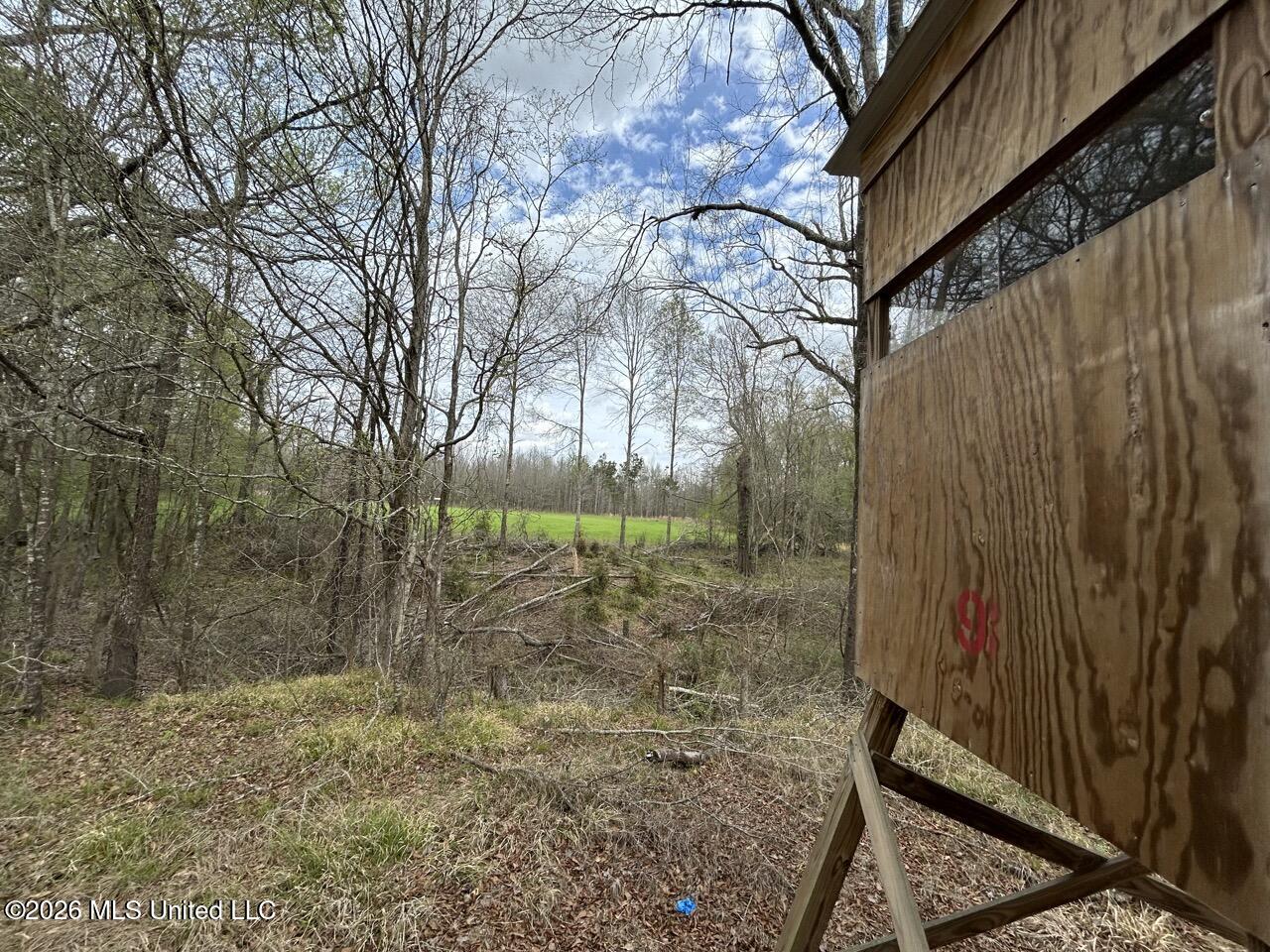 954 Jones Landing Road Wisner, LA 71378 - Photo 42 of 49 IMG_3350 Large