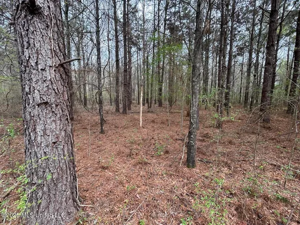 $2,590,000 | 954 Jones Landing Road, Wisner, LA 71378