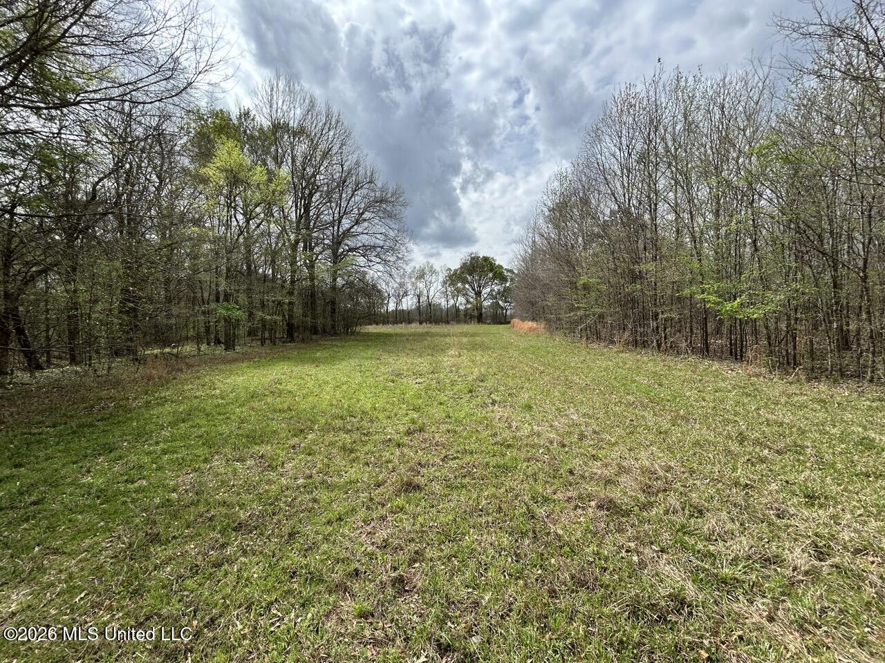 954 Jones Landing Road Wisner, LA 71378 - Photo 47 of 49 IMG_3360 Large