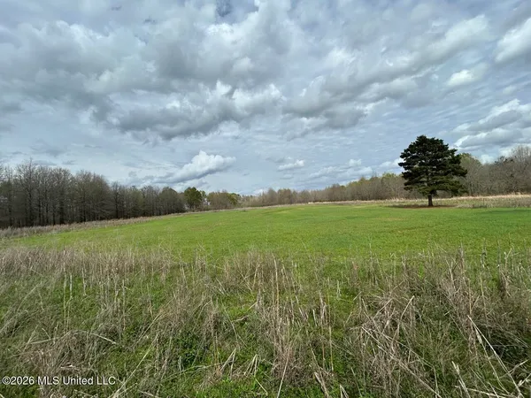 $2,590,000 | 954 Jones Landing Road, Wisner, LA 71378