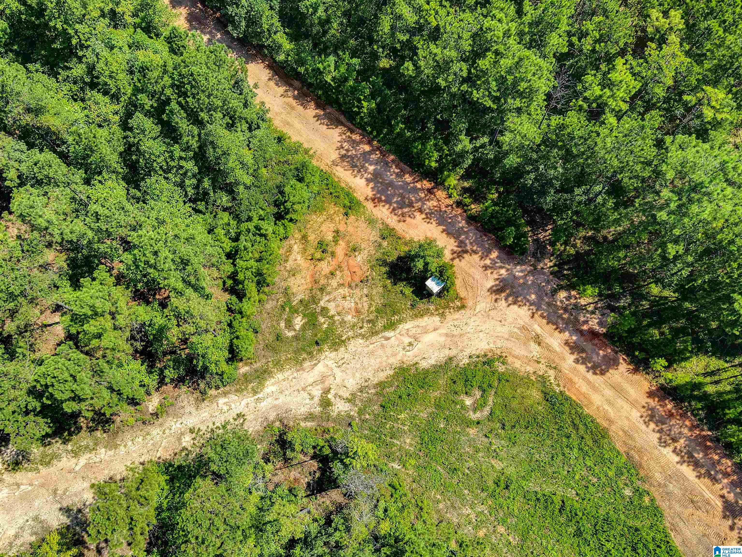 0 County Road 465, Unit 1 Clanton, AL 35045 - Photo 14 of 16