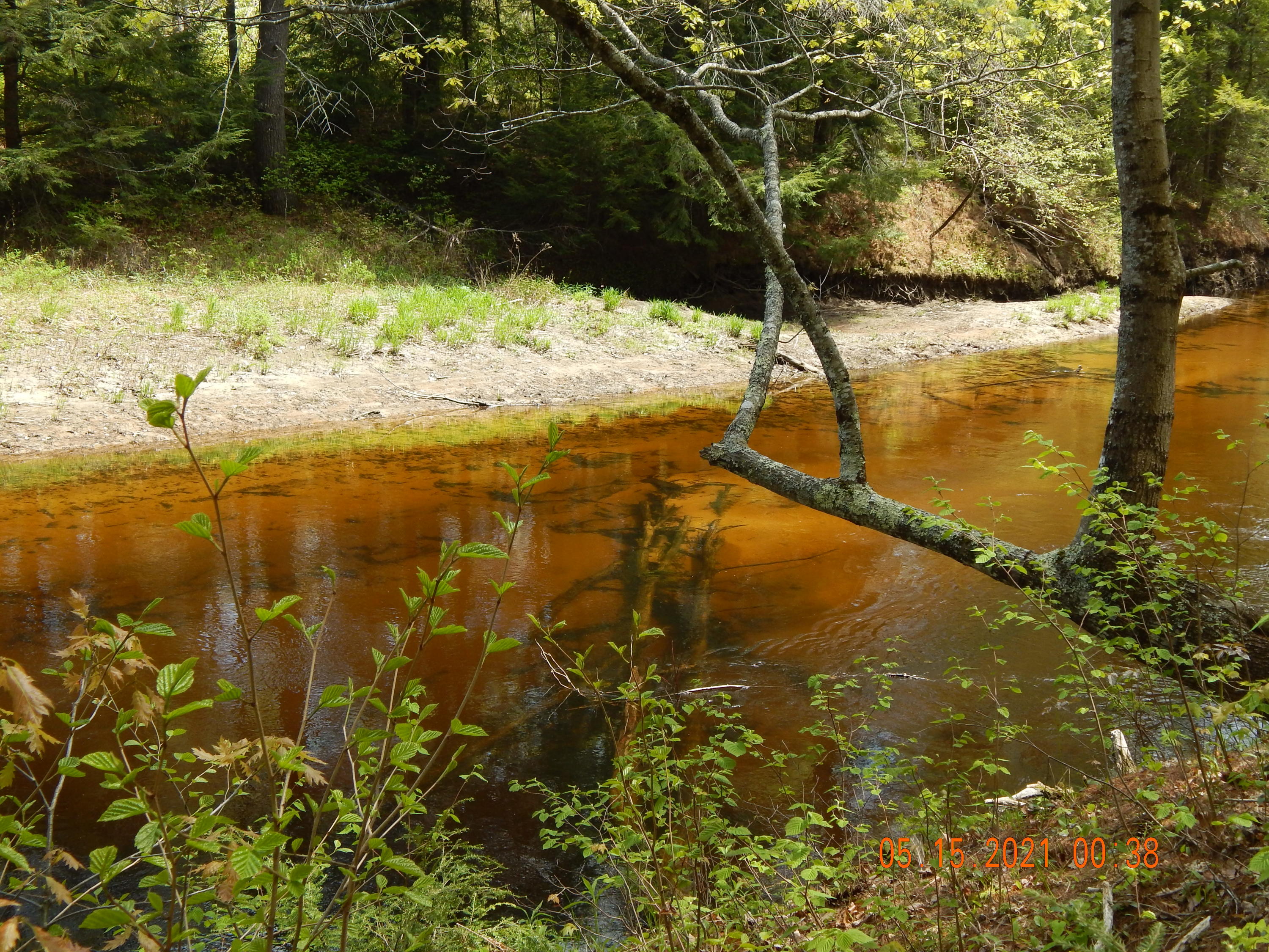 17 Sand Road Naples, ME 04055 - Photo 62 of 66 DSCN0449
