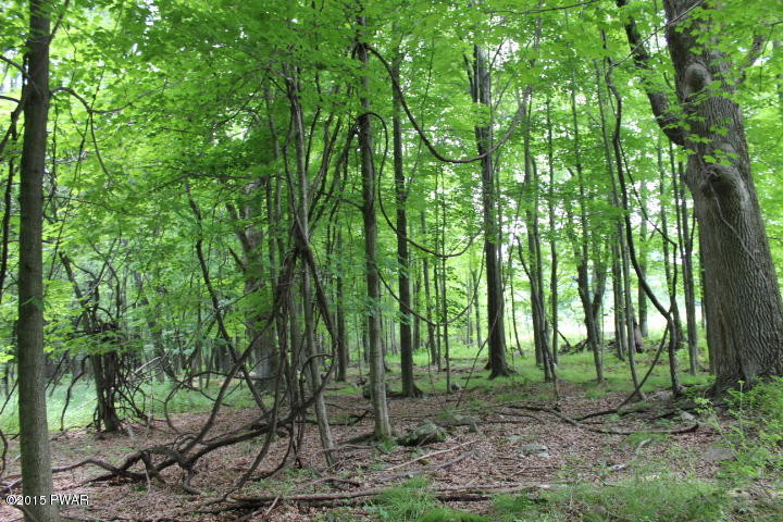 1049 Swoyer Road Lake Ariel, PA 18436 - Photo 5 of 31