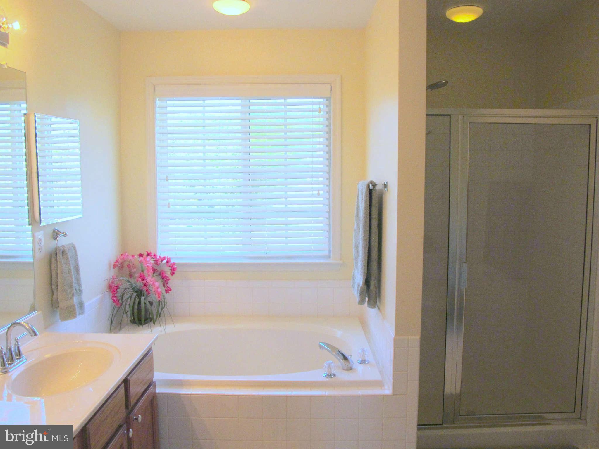 9132 Vollmerhausen Road Jessup, MD 20794 - Photo 21 of 30 Bath (Master)