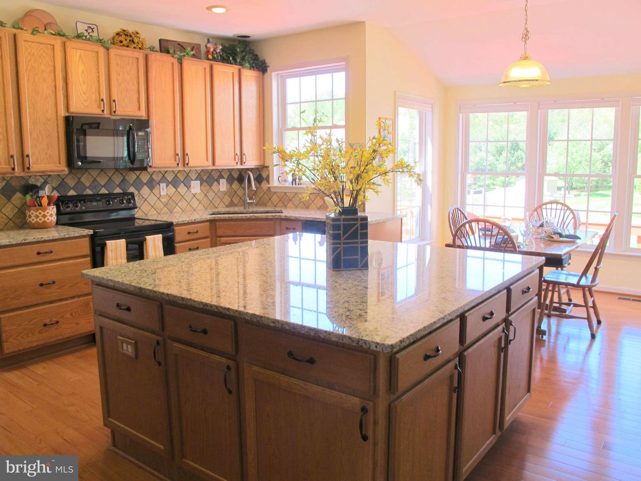 9132 Vollmerhausen Road Jessup, MD 20794 - Photo 6 of 30 Kitchen