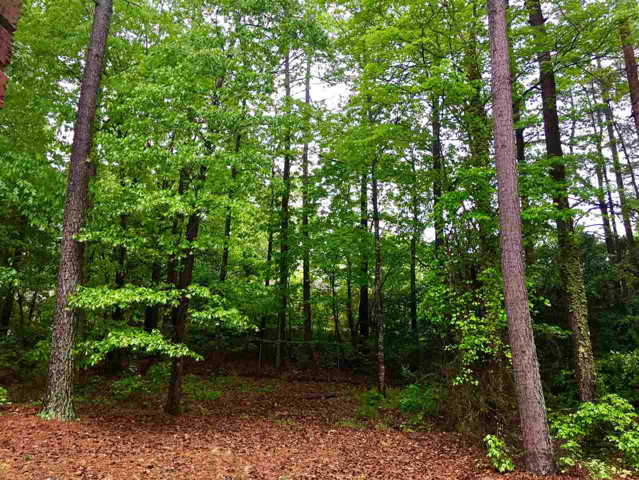 8405 Kempton Road Raleigh, NC 27615 - Photo 23 of 25 Back yard