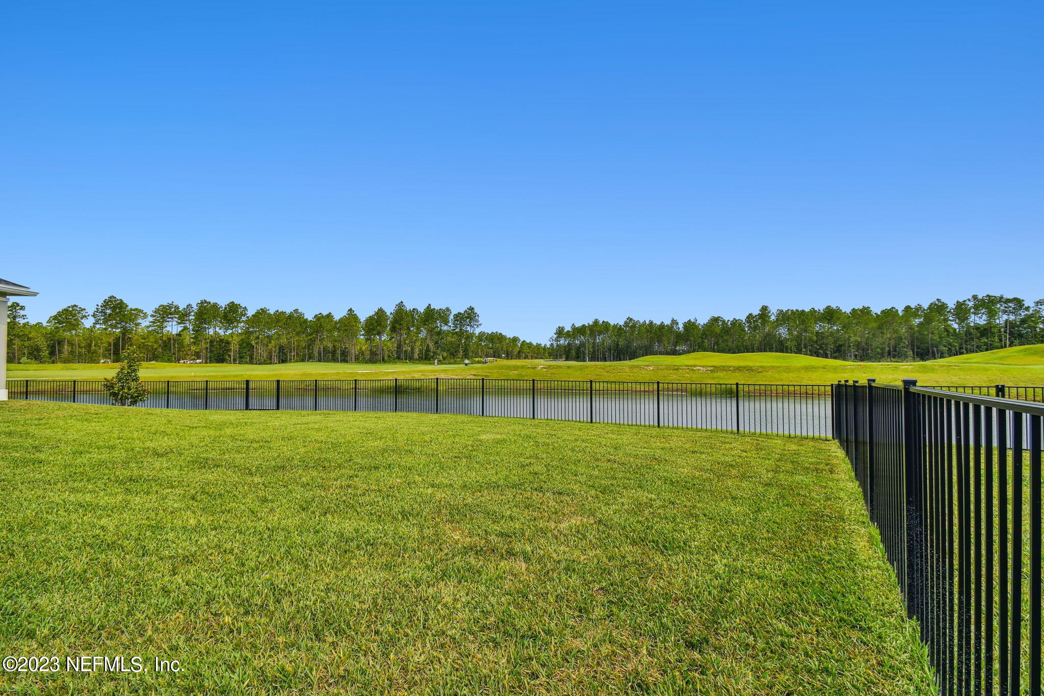 32 Quota Circle St. Johns, FL 32259 - Photo 59 of 79 Back Yard