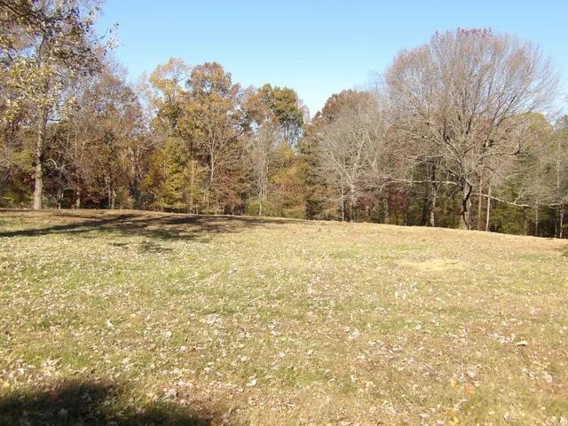 a view of large yard with trees