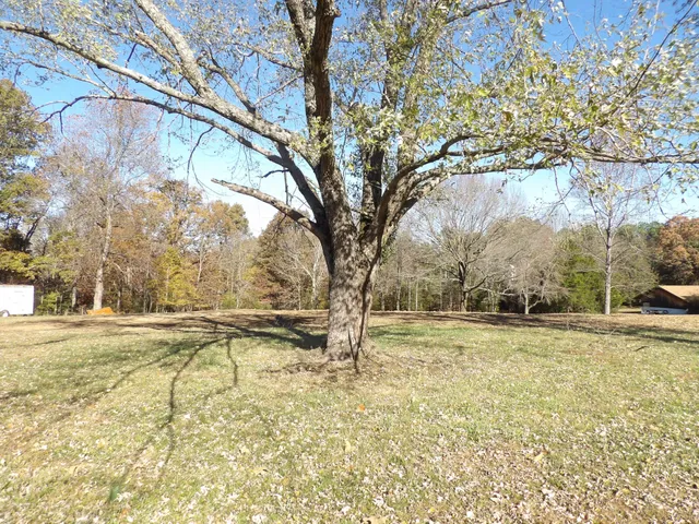 a view of a yard with trees