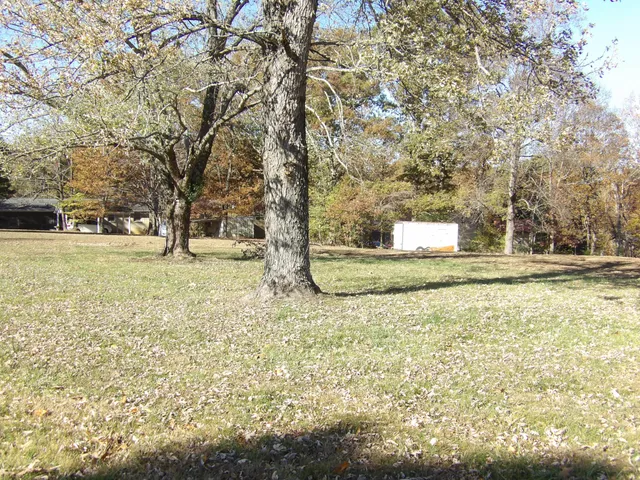 a view of yard with trees