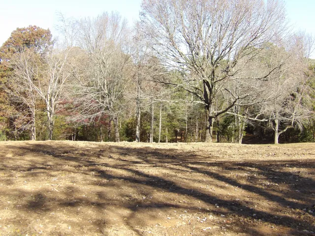 a view of road and trees