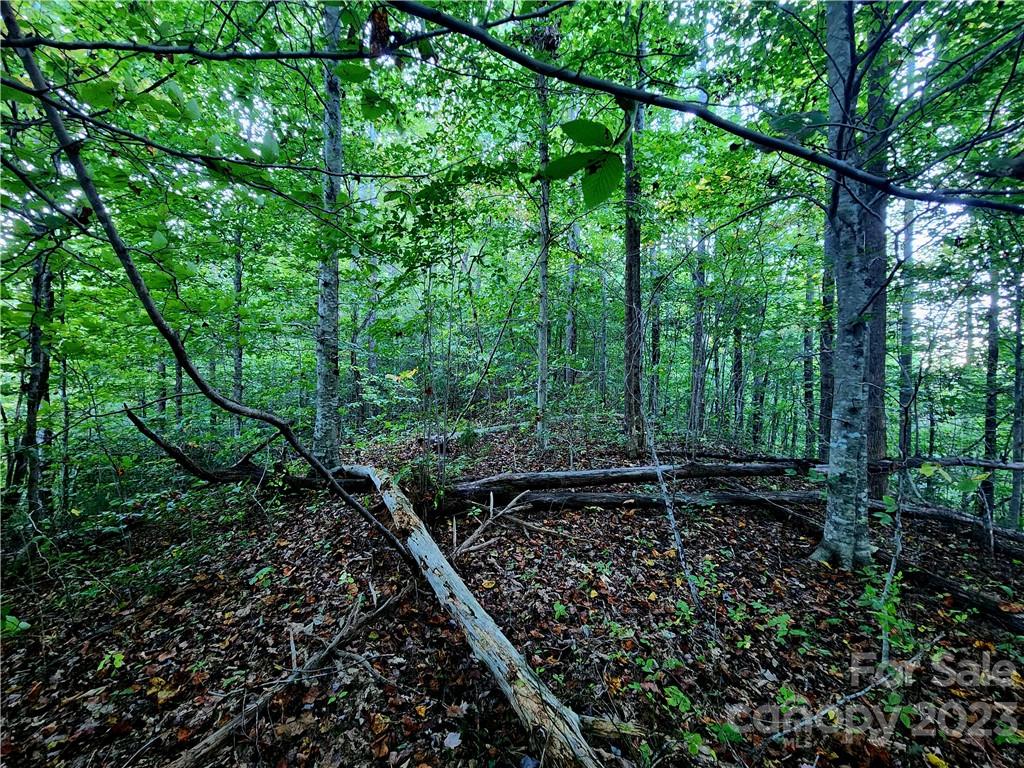 0 Little Savannah Road Cullowhee, NC 28723 - Photo 8 of 9 Gallery Image 8