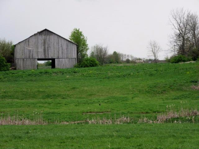 2364 Walcot Way Lexington, KY 40511 - Photo 48 of 51 Photo 48