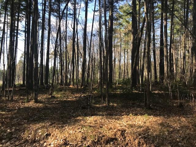 On Chain O Lakes Road, Unit LOT 1 Eagle River, WI 54521 - Photo 2 of 4 Gallery Image 2