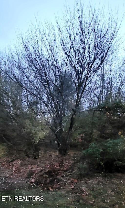 Fairview Road Crossville, TN 38571 - Photo 2 of 5 unnamed (2)