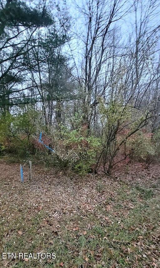 Fairview Road Crossville, TN 38571 - Photo 5 of 5 unnamed