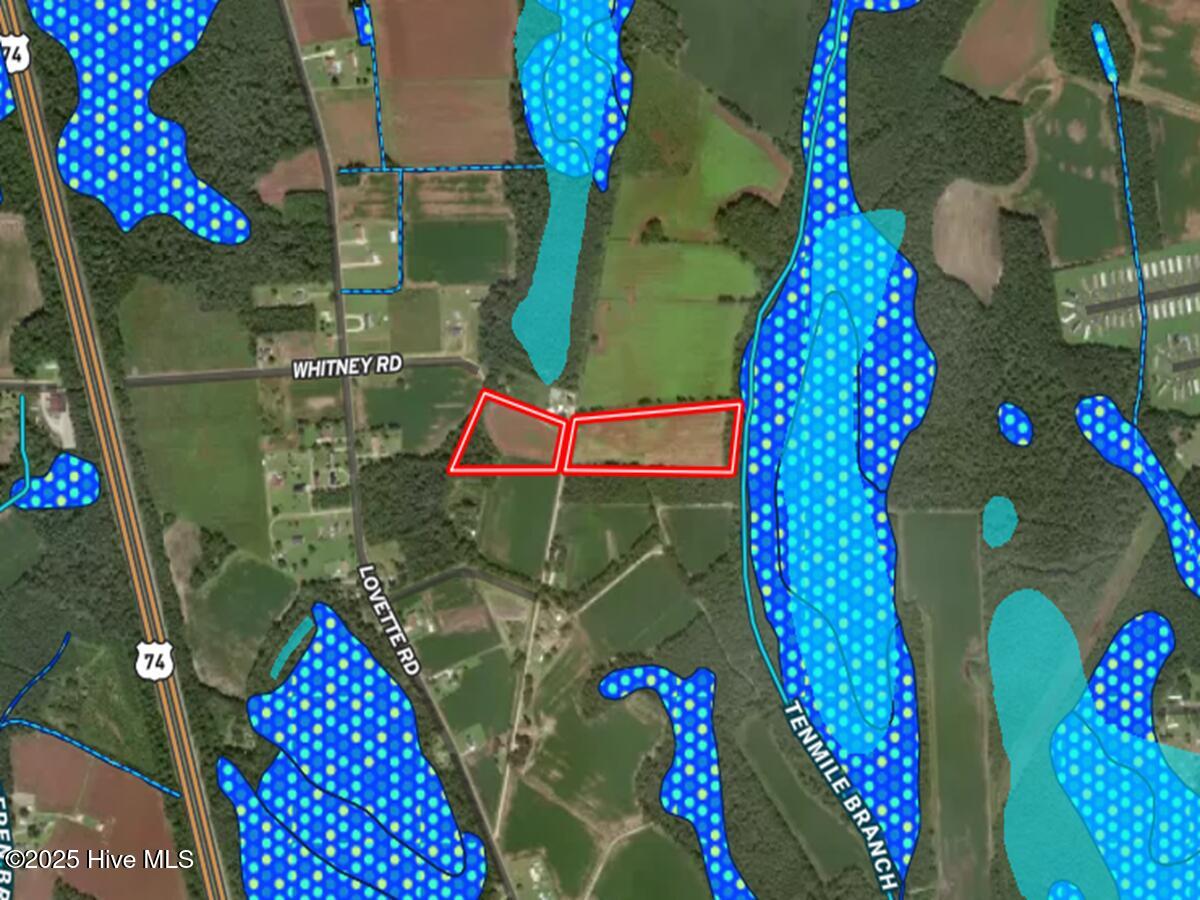 0 Coe Road Lumberton, NC 28358 - Photo 13 of 20 13. Aerial_Wetland_Surface Water