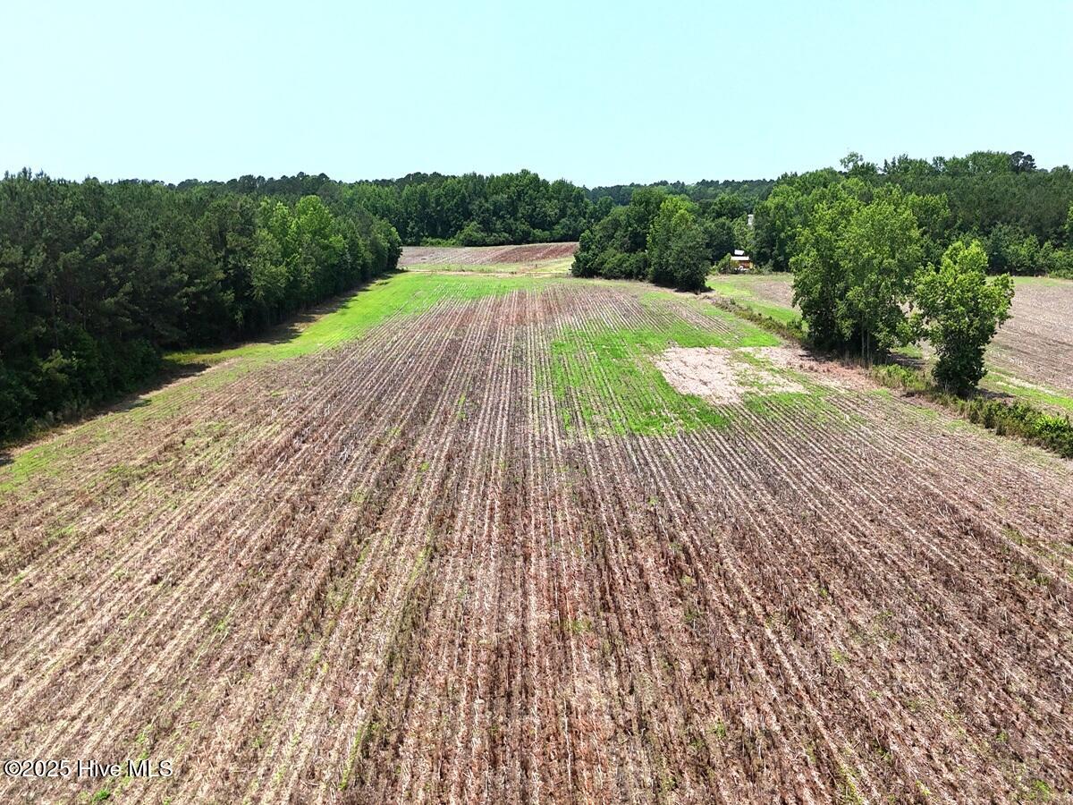 0 Coe Road Lumberton, NC 28358 - Photo 14 of 20 14.
