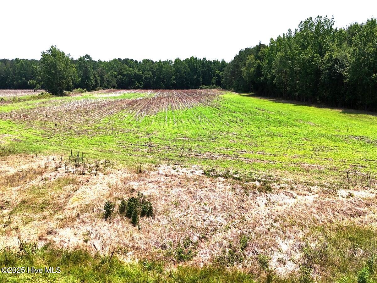 0 Coe Road Lumberton, NC 28358 - Photo 17 of 20 17.