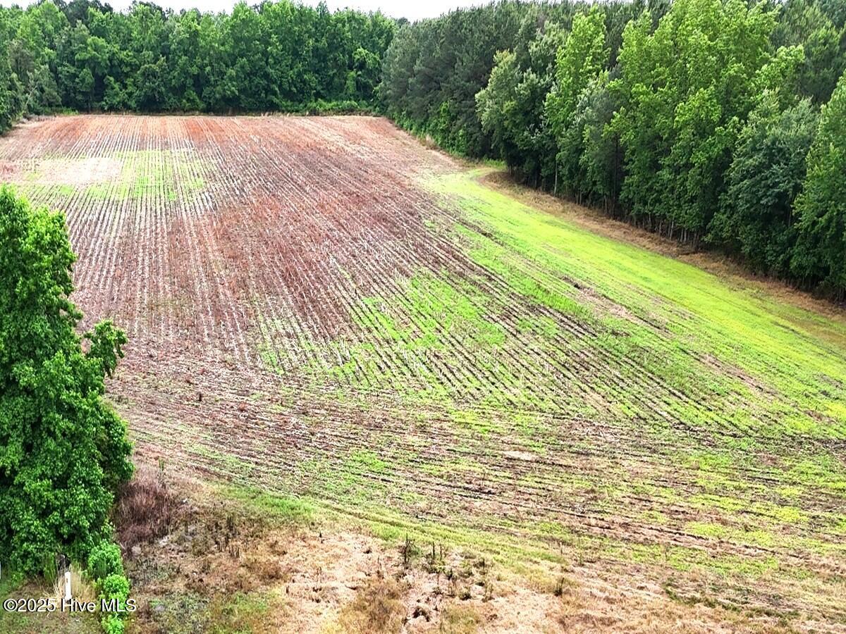 0 Coe Road Lumberton, NC 28358 - Photo 19 of 20 19.