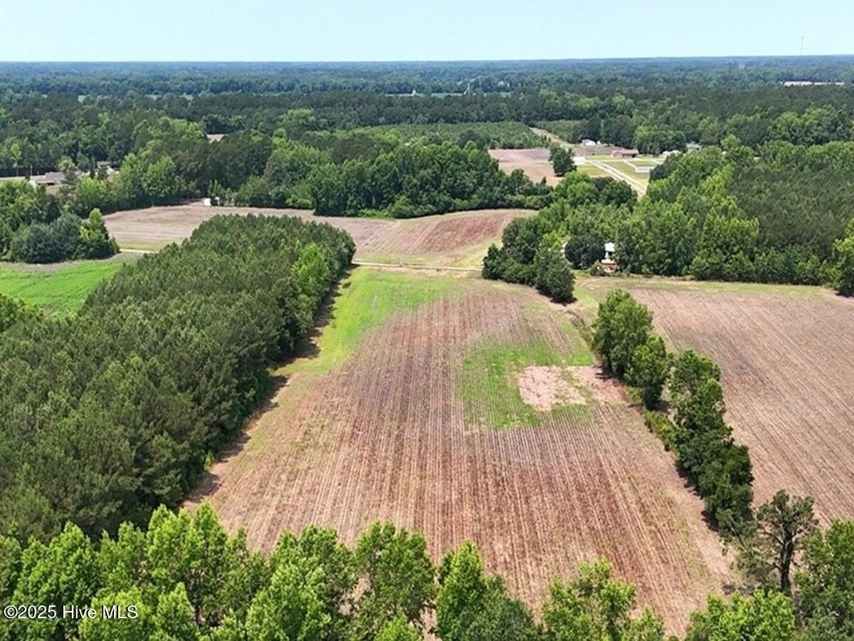 0 Coe Road Lumberton, NC 28358 - Photo 3 of 20 3. Overview