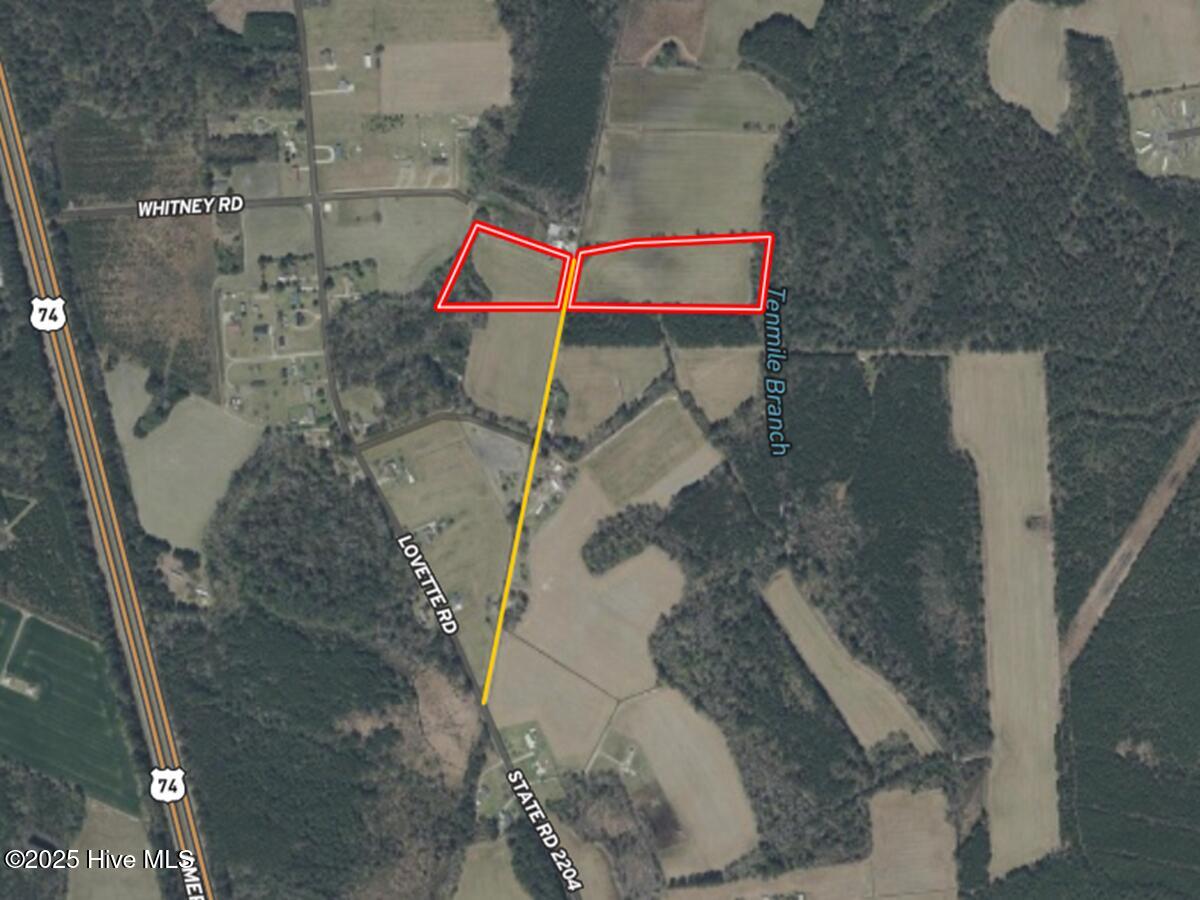 0 Coe Road Lumberton, NC 28358 - Photo 10 of 20 10.Access Road