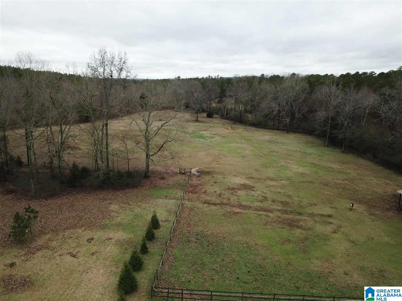 834 Maple Lane Jacksonville, AL 36265 - Photo 39 of 43