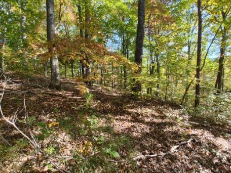 Hughes Loop Road Maryville, TN 37803 - Photo 11 of 14 Building Site