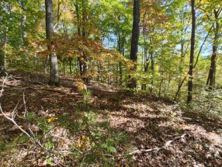 Hughes Loop Road Maryville, TN 37803 - Photo 13 of 14 Building Site
