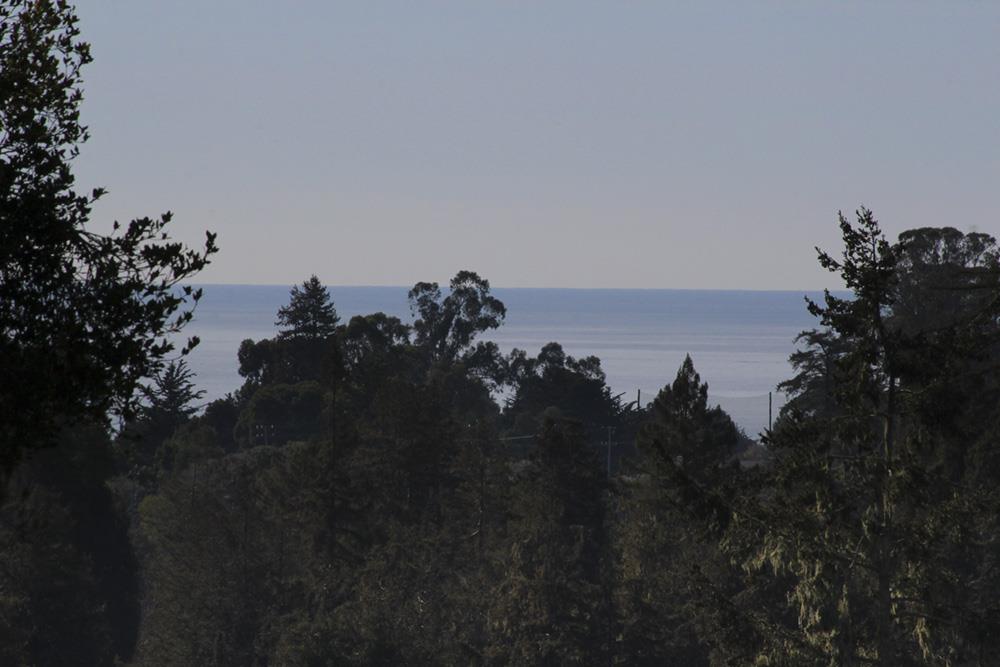 125 Charman Hill Road Aptos, CA 95003 - Photo 18 of 22