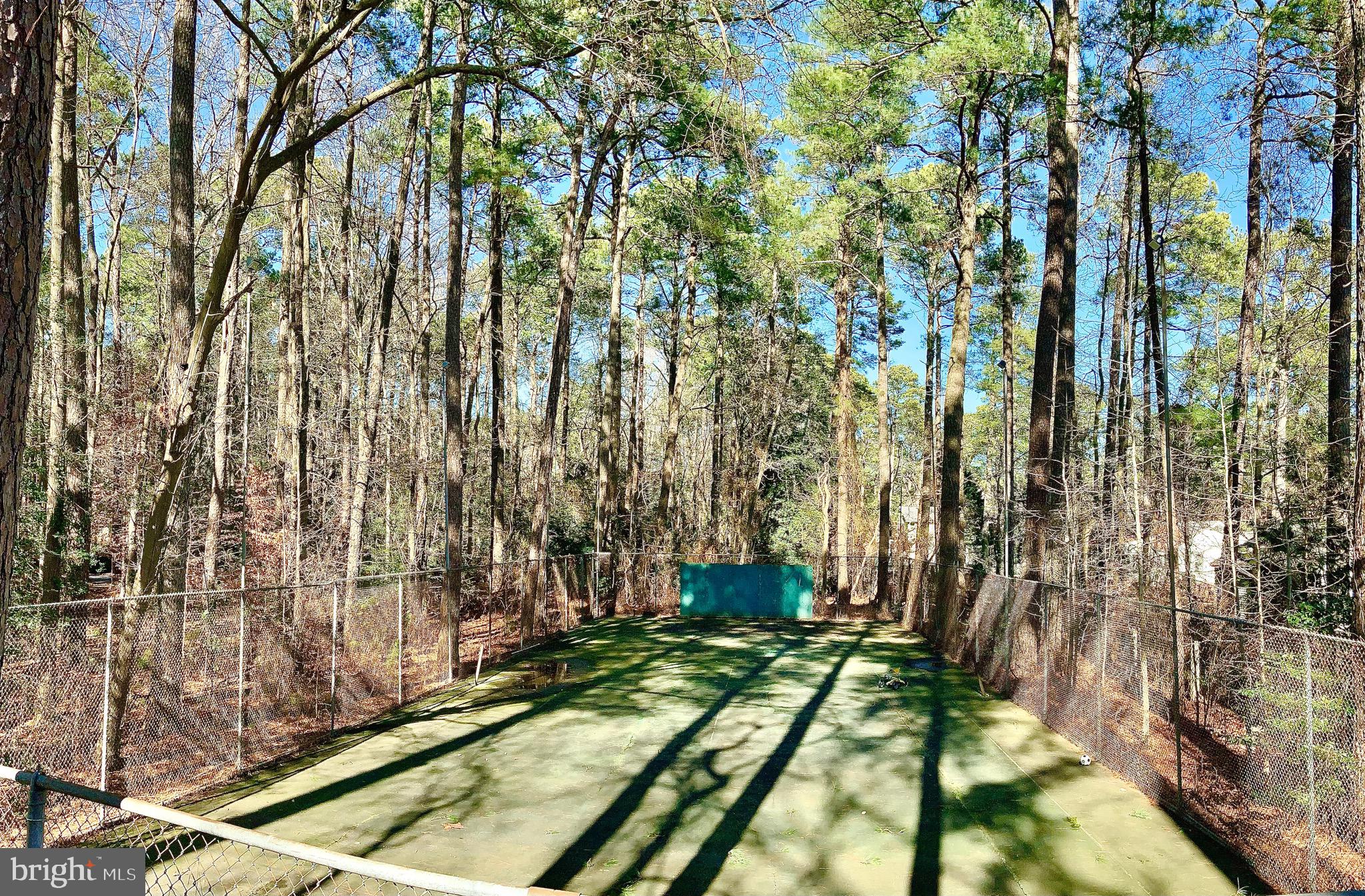 603 Fountain Road Salisbury, MD 21801 - Photo 56 of 70 Private tennis court