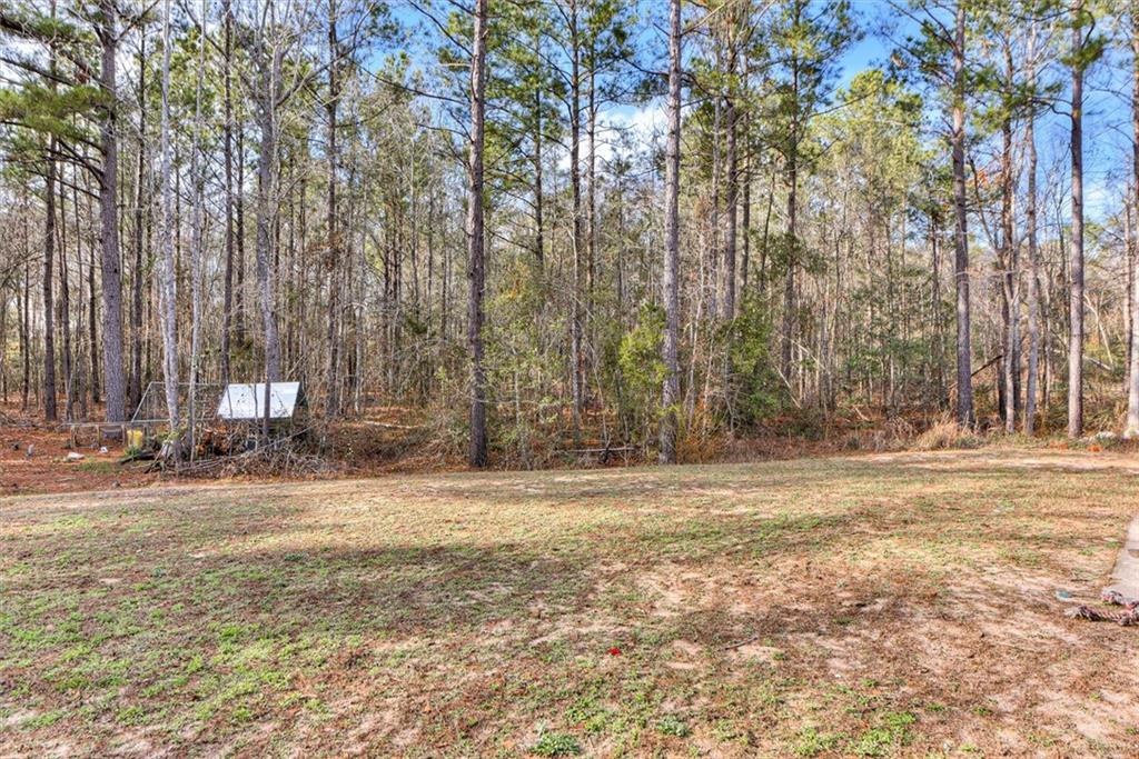 1234 Stapleton Acres Road Stapleton, GA 30823 - Photo 25 of 25