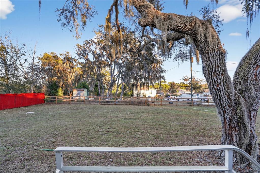 18441 Rigsby Road Spring Hill, FL 34610 - Photo 4 of 23 a view of a yard