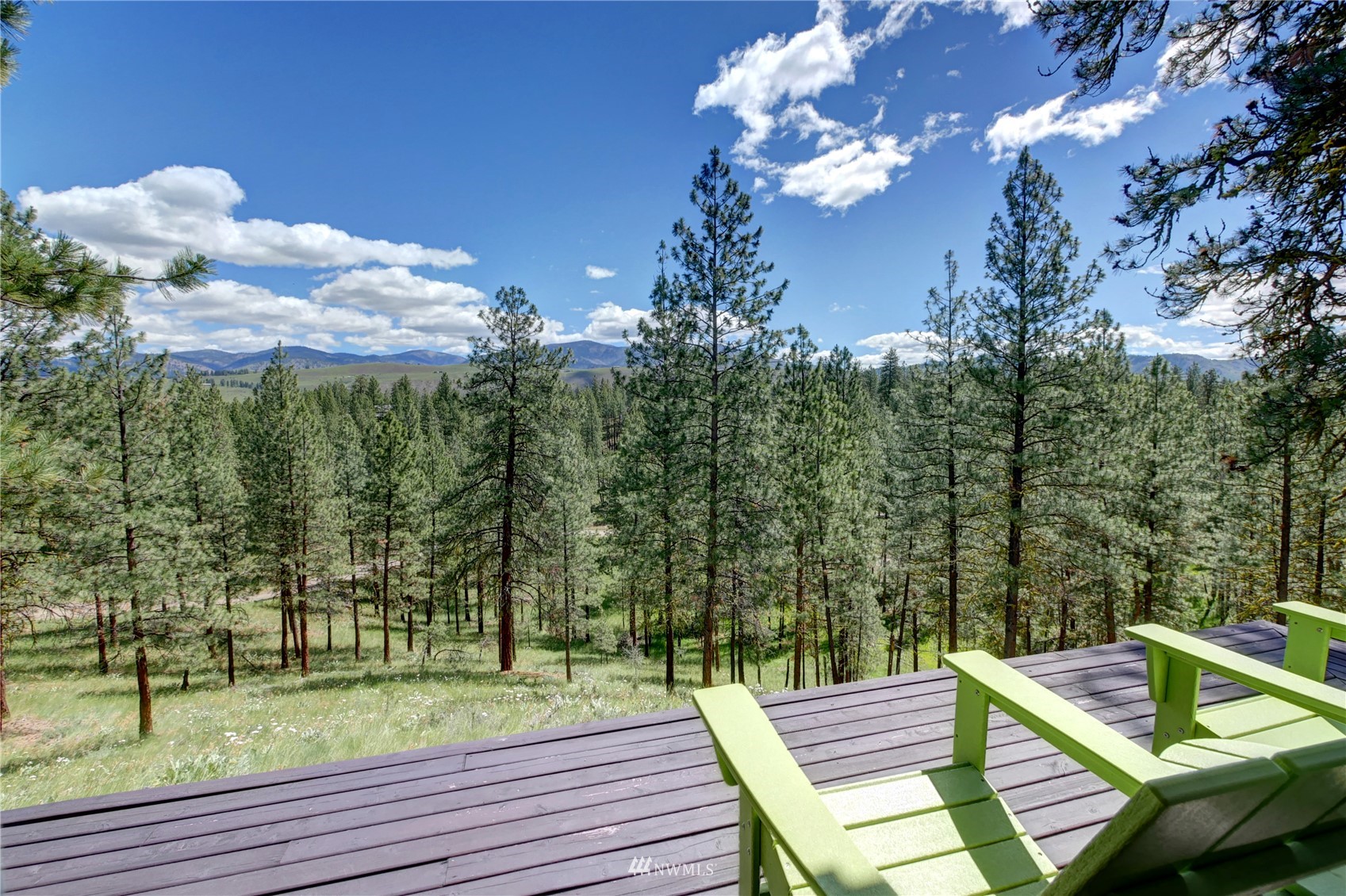 36 Appaloosa Road Winthrop, WA 98862 - Photo 3 of 37 Gallery Image 3