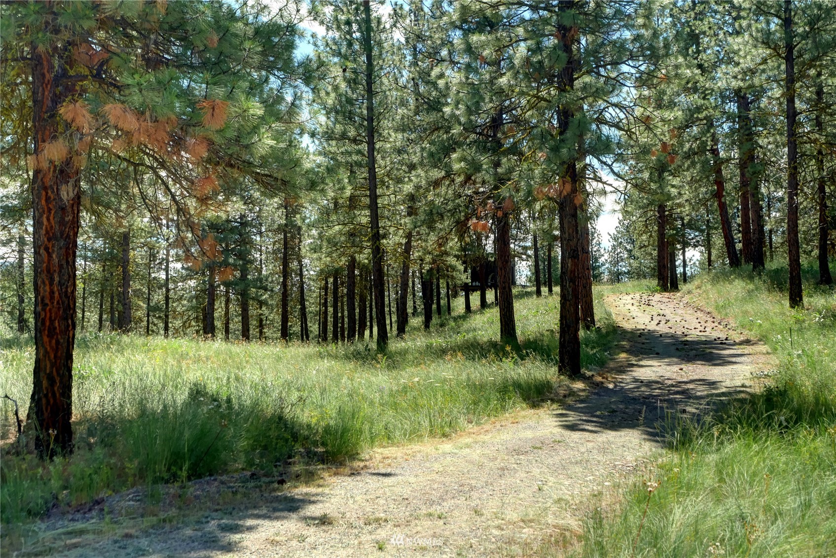 36 Appaloosa Road Winthrop, WA 98862 - Photo 36 of 37 Gallery Image 36