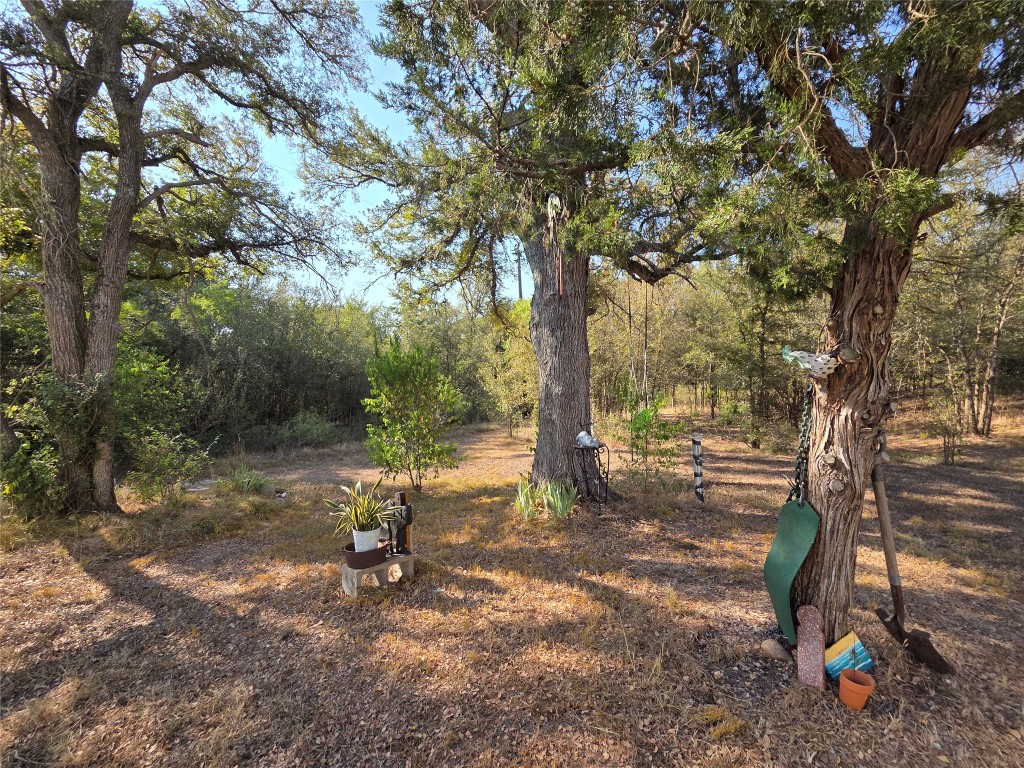 150 Beaver Road Elgin, TX 78621 - Photo 13 of 40 a view of a tree in a yard