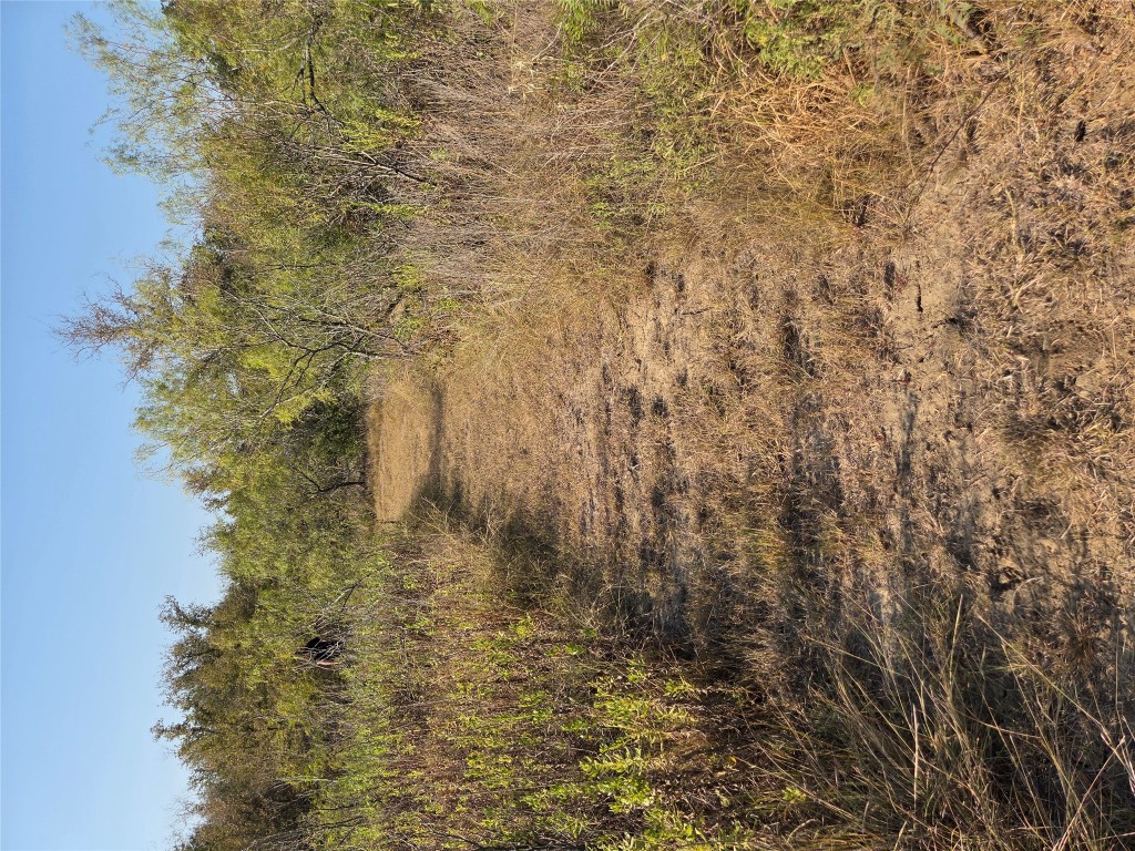 150 Beaver Road Elgin, TX 78621 - Photo 38 of 40 a view of a lake with a mountain in the background