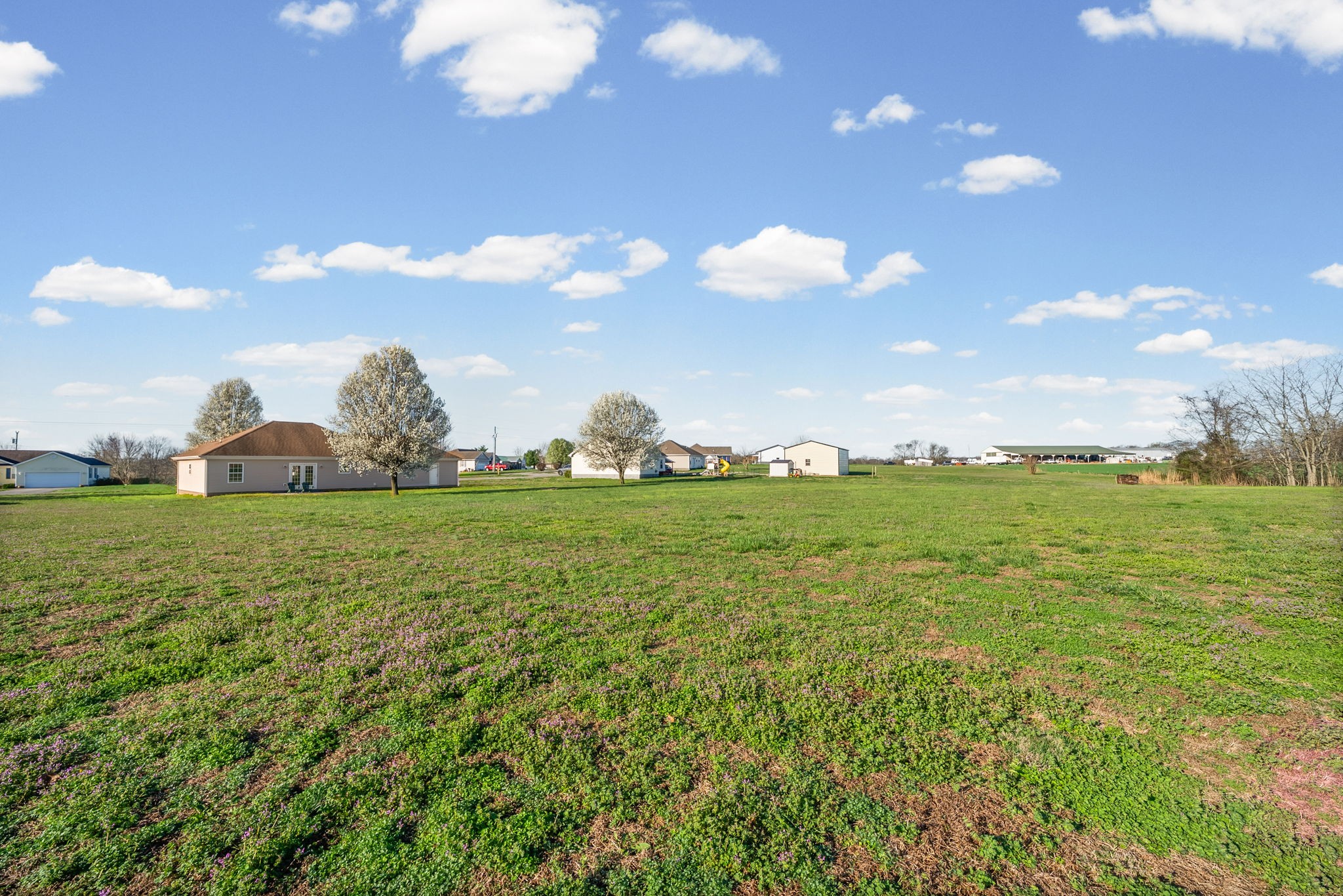 1940 Loop Lane Gracey, KY 42232 - Photo 31 of 32 a view of field with an trees
