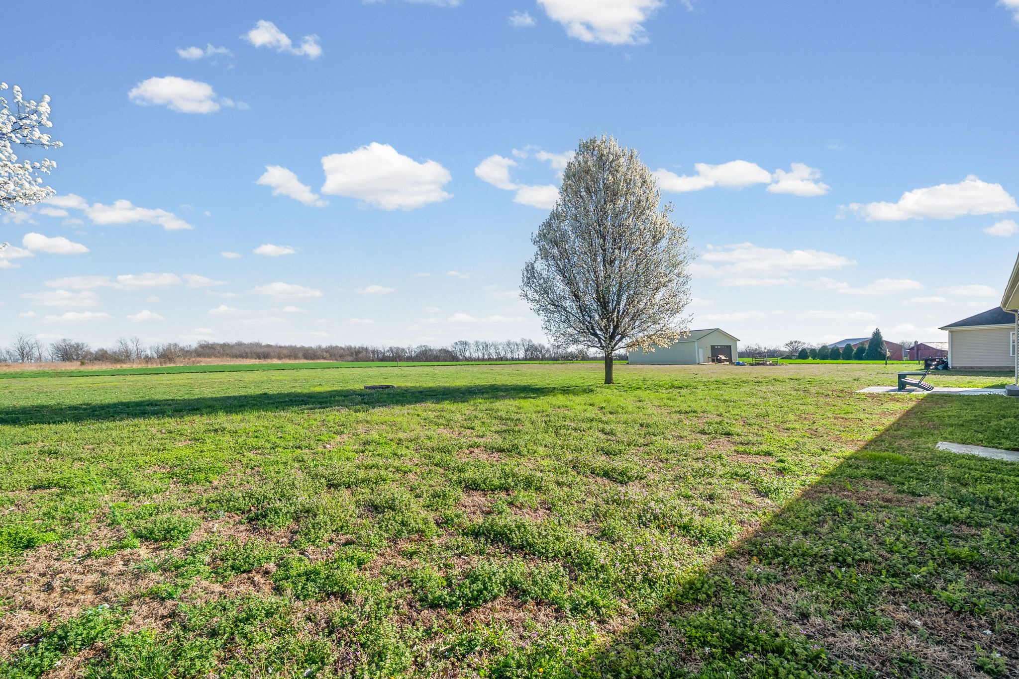 1940 Loop Lane Gracey, KY 42232 - Photo 32 of 32 a view of a golf course with a lake