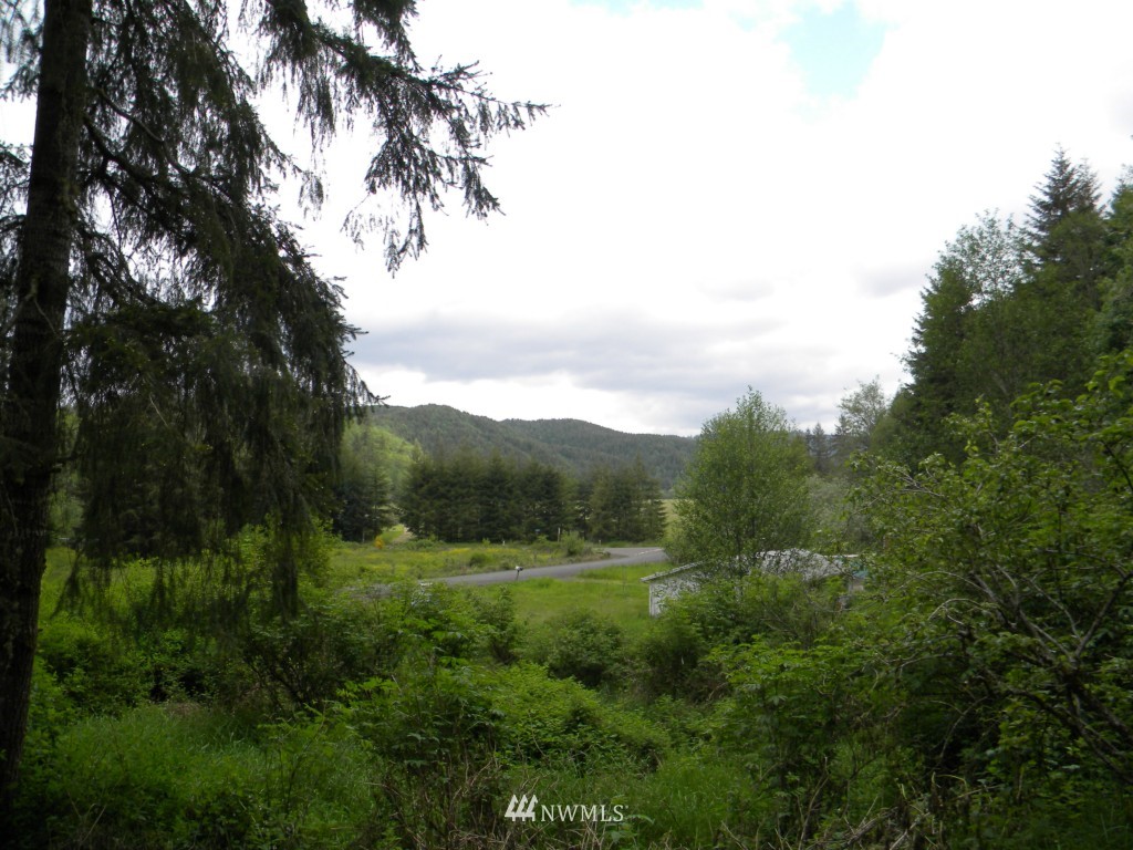 30 Halfmoon Creek Road Raymond, WA 98577 - Photo 4 of 11 Gallery Image 4